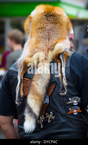 Un chapeau fait de la peau d'un renard mort est porté par un accompagnateur des vélos, Blues & BBQ rassemblement à Fayetteville, Arkansas Banque D'Images