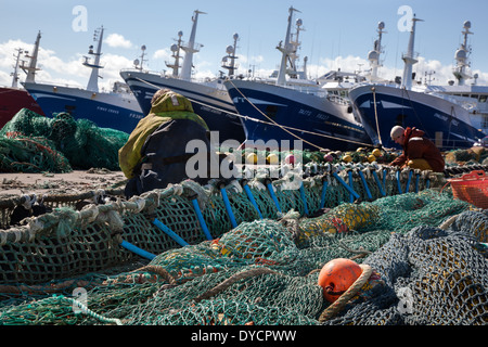 Les navires de la flotte pélagique écossaise à quai, avec des filets de pêche en cours de réparation à Fraserburgh Port, Ecosse, Royaume-Uni Banque D'Images