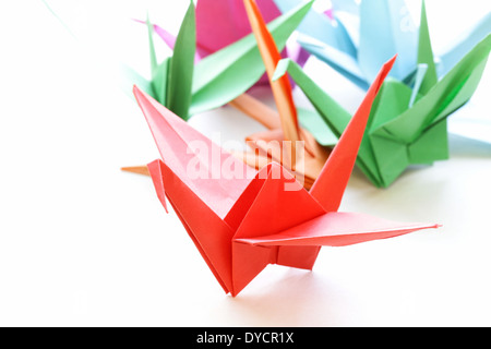 Origami Papier coloré d'oiseaux sur un fond blanc