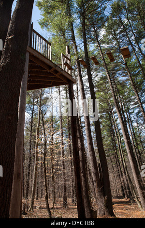 North Adams (Massachusetts) Downing Memorial high rope course a une tour en bois avec des mesures horizontales enfilés sur les fils. Banque D'Images