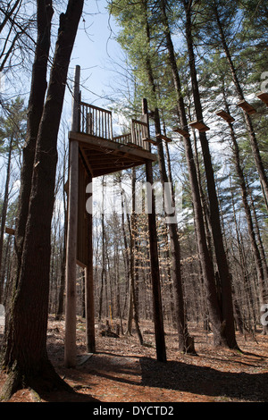 North Adams (Massachusetts) Downing Memorial high rope course a une tour en bois avec des mesures horizontales enfilés sur les fils. Banque D'Images