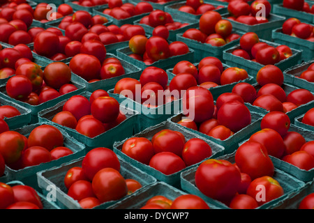 Cartouches de tomates rouge vif sur l'affichage à farmers market Banque D'Images