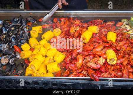 Everglades City Florida, Seafood Festival, crawfish, maïs sur rafle, moule, cuisine, les visiteurs voyage visite touristique sites touristiques, c Banque D'Images