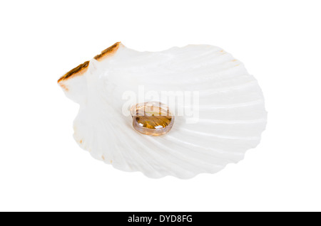 Big Glass pearl shell en mer isolé sur fond blanc Banque D'Images