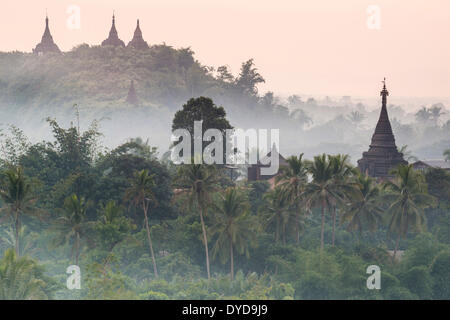 Les pagodes et les temples entourés d'arbres, dans la brume, Sittwe, Mrauk U District, l'État de Rakhine, au Myanmar Banque D'Images