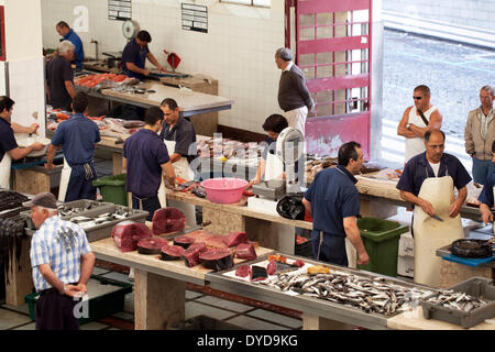 Le marché aux poissons, le Mercado DOS Lavradores, Funchal, Madeira, Portugal Banque D'Images