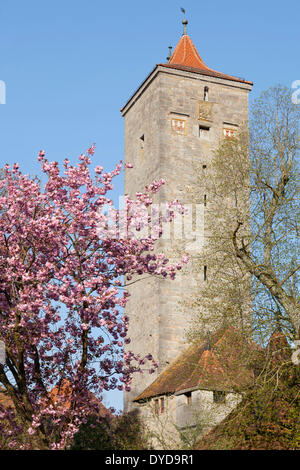 Porte du château, Rothenburg ob der Tauber, Route Romantique, Franconia, Bavaria, Germany Banque D'Images