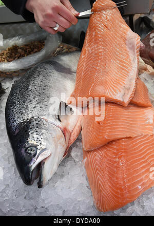 Langenhagen, Allemagne. Apr 15, 2014. Filets de saumon d'Norweigian sont mis sur un comptoir de vente à un marché hebdomadaire de Langenhagen, Allemagne, 15 avril 2014. Le poisson est un repas traditionnel le vendredi saint. Selon l'industrie du poisson les prix sont censés rester stables, cependant. Photo : HOLGER HOLLEMANN/DPA/Alamy Live News Banque D'Images