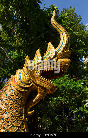 Naga doré figure à l'entrée du Wat Phra Kaeo, Wat Phra Kaew, Chiang Rai, la province de Chiang Rai, dans le Nord de la Thaïlande, Thaïlande Banque D'Images