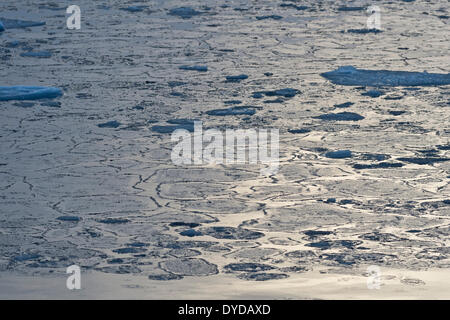 Pancake ice, bord de la banquise, l'océan Arctique, l'archipel du Svalbard, l'île de Spitsbergen, Svalbard et Jan Mayen (Norvège) Banque D'Images