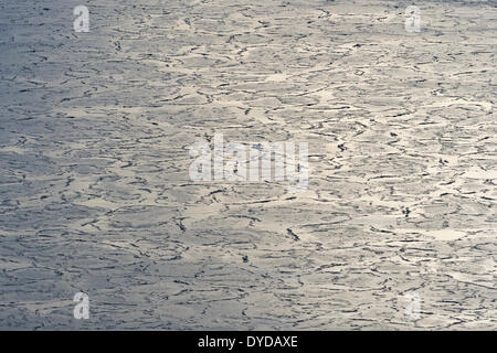 Pancake ice, bord de la banquise, l'océan Arctique, l'archipel du Svalbard, l'île de Spitsbergen, Svalbard et Jan Mayen (Norvège) Banque D'Images