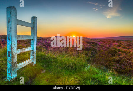 Coucher de soleil sur le Derbyshire lande de bruyère. Banque D'Images