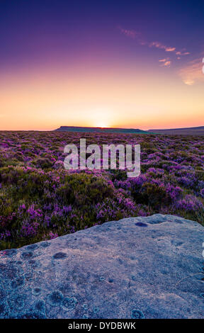 Coucher de soleil sur le Derbyshire lande de bruyère. Banque D'Images