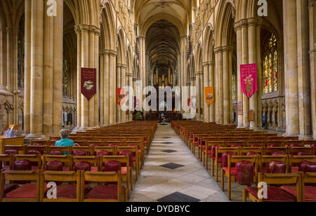 Intérieur de Beverly Minster qui est l'une des plus grandes églises paroissiales au Royaume-Uni. Banque D'Images