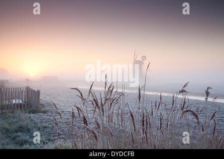 Drainage Horsey Mill au lever du soleil sur un matin d'hiver. Banque D'Images