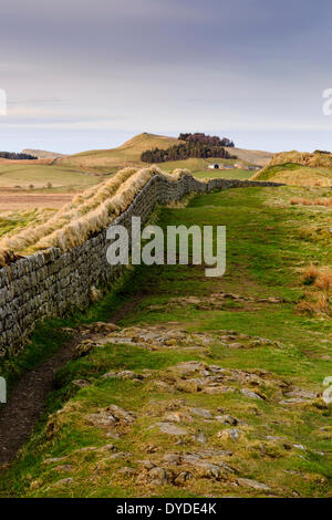 Une vue le long du mur d'Hadrien près de Crag Housesteads dans lumière du soir. Banque D'Images