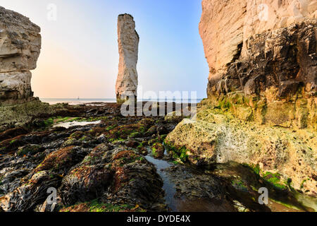 Le bas des falaises à l'ancienne sur un très rock Harrys marée basse. Banque D'Images