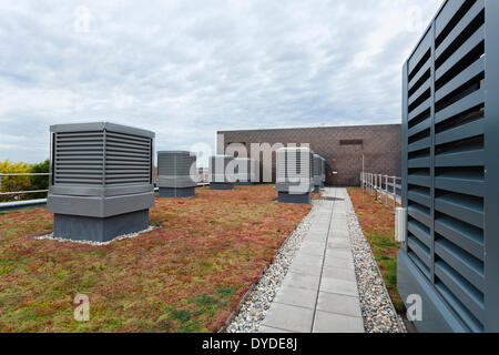 Louvre monodraught et Sedum ventilation toit vert sur Notting Hill et Ealing High School. Banque D'Images