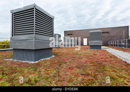 Louvre monodraught et Sedum ventilation toit vert sur Notting Hill et Ealing High School. Banque D'Images