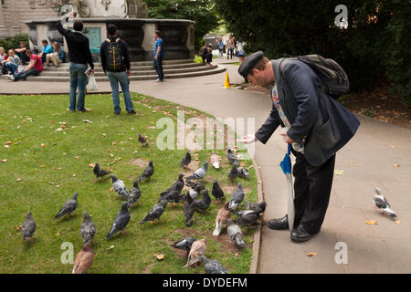 L'alimentation de l'homme les pigeons à St Paul's Churchyard à Londres. Banque D'Images