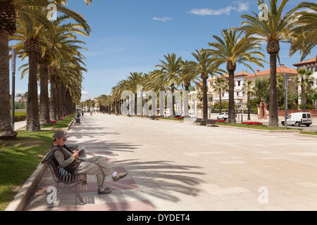 Promenade Palm à Salou en Espagne. Banque D'Images