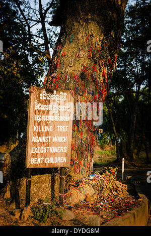 L'arbre mort contre lequel les bourreaux battre les enfants dans les champs de massacre à Choeung Ek à Phnom Penh. Banque D'Images