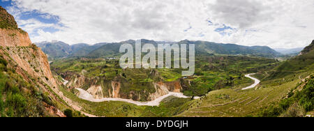 La vallée de Colca qui est au nord d'Arequipa. Banque D'Images