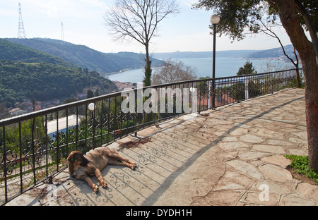 Yoros Castle, Bosphore Anadolu Kavagi, côté anatolien, Istanbul Turquie. Banque D'Images