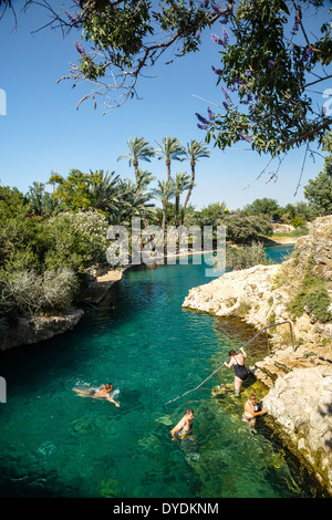 L'Sachne, Gan Hashlosha, Parc National de Beit Shean, Israël. Banque D'Images