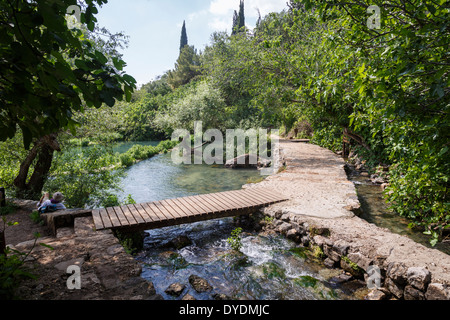 La réserve naturelle de Banias, Hauteurs du Golan, Israël. Banque D'Images