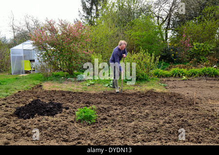 Un jardinier bêche son potager au printemps. Banque D'Images