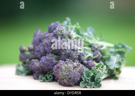 Purple Sprouting brocoli sur une planche à découper en bois Banque D'Images
