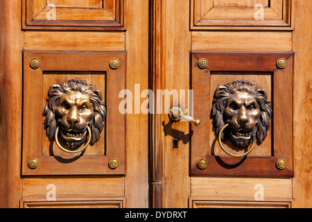 Heurtoirs de porte - lions Banque D'Images
