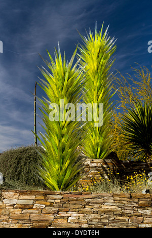 Entrée privée, Desert Botanical Gardens, Phoenix, Arizona, USA Banque D'Images