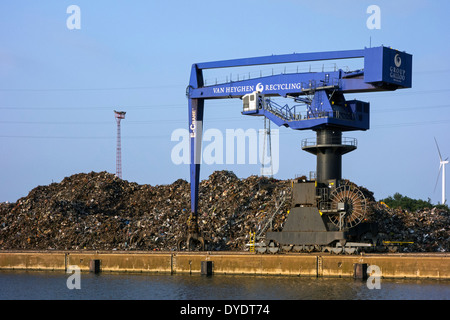 E-grue, grue de rebut à Van Heyghen Recycling terminal d'exportation, port de Gand, Flandre orientale, Belgique Banque D'Images