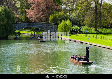 Promenades en barque sur rivière Cam à Cambridge Banque D'Images