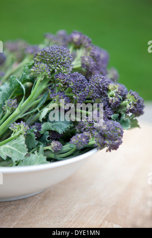 Purple Sprouting brocoli dans un plat blanc Banque D'Images