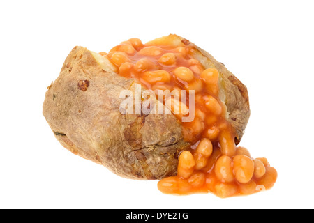 Veste chaude remplie de pommes de terre avec des haricots blancs - studio photo avec un fond blanc Banque D'Images