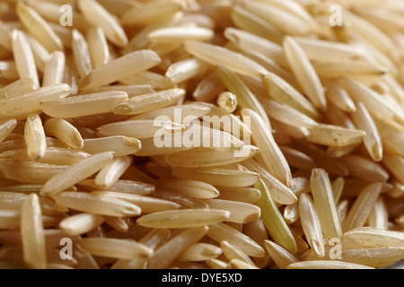 Riz Basmati brun non cuites brutes Banque D'Images