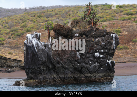 Cactus et îlot rocheux au couvert de guano, l'île de Santiago, îles Galapagos, en Équateur. Banque D'Images