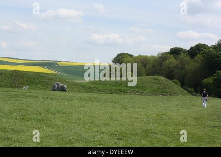 Avis de pierres d'Avebury 2013. Un monument néolithique henge contenant trois cercles de pierres, autour du village d'Avebury dans le Wiltshire, dans le sud-ouest de l'Angleterre. Construit autour de 2600 B.C. Banque D'Images