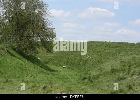 Avis de pierres d'Avebury 2013. Un monument néolithique henge contenant trois cercles de pierres, autour du village d'Avebury dans le Wiltshire, dans le sud-ouest de l'Angleterre. Construit autour de 2600 B.C. Banque D'Images