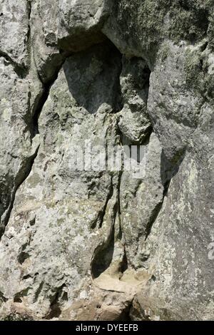 Avis de pierres d'Avebury 2013. Un monument néolithique henge contenant trois cercles de pierres, autour du village d'Avebury dans le Wiltshire, dans le sud-ouest de l'Angleterre. Construit autour de 2600 B.C. Banque D'Images