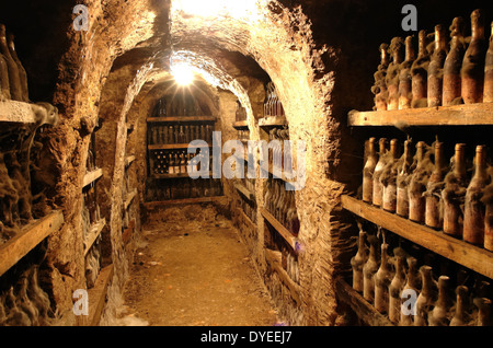 Grottes anciennes et le vin de la vallée de Tokai en Slovaquie. Banque D'Images