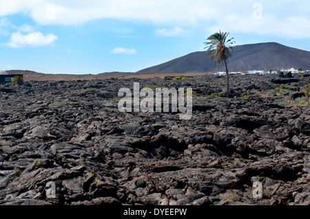 Paysage volcanique de Lanzarote, îles Canaries, Espagne Banque D'Images