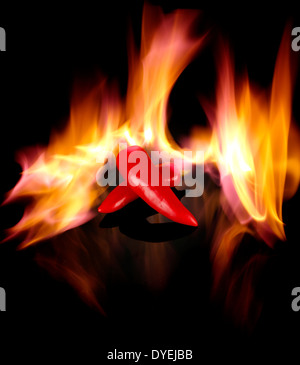 Deux PIMENTS ENTOURÉ PAR LE FEU SUR UN FOND NOIR Banque D'Images