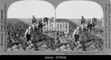 Labourer avec une charrue indigène primitif ou comment. Un paysan russe laboure son champs loués, au cours des dernières décennies de l'état tsariste en Russie. Vers 1900 imprimer sur carte stéréo ou stéréophotogramme. Banque D'Images