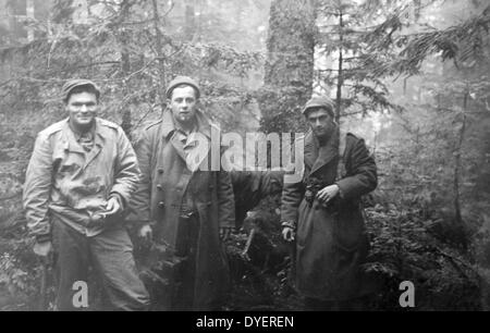 Seconde guerre mondiale : fantassins français dans la forêt des Vosges 1944 Banque D'Images