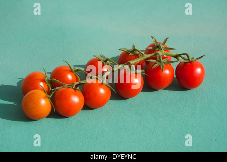 Tomates cerises rouges sur fond vert Banque D'Images