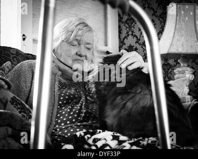 Ancien femme assise dans sa chaise avec son chat sur ses genoux et audio téléphones mobiles dans ses oreilles Banque D'Images